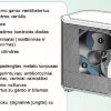 ATLANTIC EXTENSA DUO A.I. 5 šilumos siurblys 4,5kW